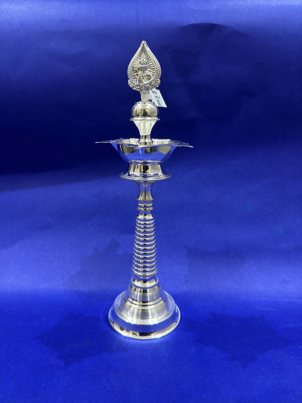 SILVER MURUGANVILZHAKU  